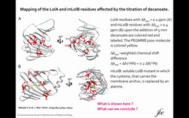 YASB9U13 - ISB-CLS-NMR: protein-protein interaction: an NMR exemple