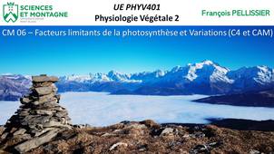 PHYV401 CM Distanciel 06 - Facteurs limitants et variantes de la Photosynthèse