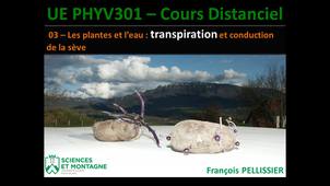 PHYV301 Cours Distanciel - 03 - Les plantes et l'eau - partie 1 La transpiration