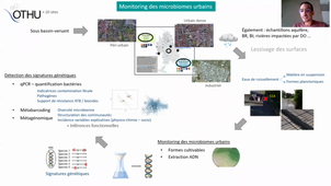 Monotiring des microbiomes urbains : état actuel des données produite par l'observatoire de terrain en hydrologie urbaine - BOUCHALI Rayan