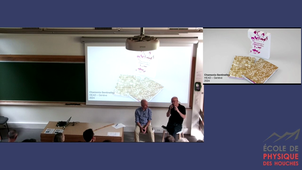 T. Gauthier, N. Nova