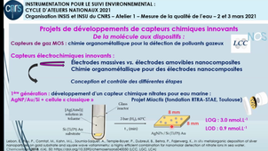 Développement de capteurs électrochimiques innovants pour la détection de pesticides dans les eaux naturelles - P. FAU;M. PUYO;D. MESGUICH;M. KAHN;J. LAUNAY;P. TEMPLE BOYER;P. BERHA;K. FAJERWERGS