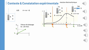 l3lps chap02 screencats b1