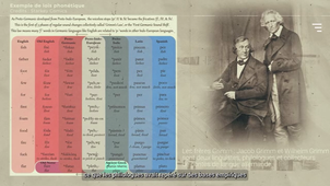 Gipsa-Lab - Kymographe.mp4