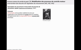 CN4-4 ControleMoteur-ProcessusMoteurs-2