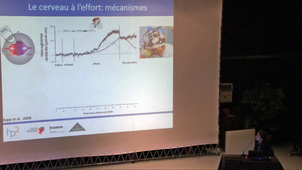 Le cerveau à l’effort