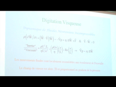 Morphogénèse et arborescence 