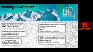 PhD@Tec21 - Topic 6 - Unraveling the physical mechanisms of bacterial aggregation in biofilm initiation