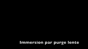 EPUG ImmersionPhoque