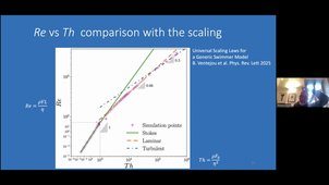 PhD@Tec21 - Topic 2 - Aquatic collective motions across Reynold numbers