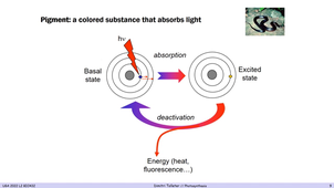 CM photosynthese part 2