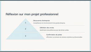 REX_Stage_BOUILLON_Romain_juin_2025.mp4