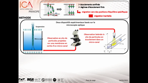 Séparation de particules biologiques complexes en écoulement confiné - P. Magaud; L. Baldas; C. Lafforgue