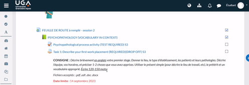 ENGLISH FOR NURSE STUDENTS_Tuto3_Deroulement d'une session de travail en ligne