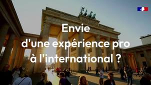 Le VIE, un expérience pro à l'international