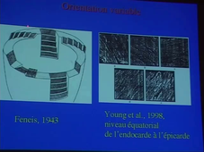 Modélisation géométrique et mécanique (A. Raoult) - 2003