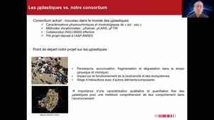 Développement d'approches spectroscopiques pour la caractérisation qualitative et quantitative des microplastiques dans l'environnement