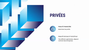 propriété d'entreprise.FLEZ.RUAT.SIMON.GERVY.mp4