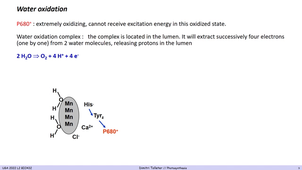 CM photosynthese part 3