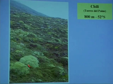 Comment les plantes s'adaptent-elles aux conditions extrêmes ? (S. Aubert) - 2002