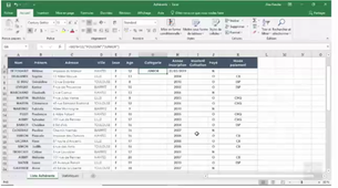 La fonction Si   (10 mn)