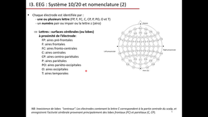 L3Psycho_TD_PreparationTPEEG