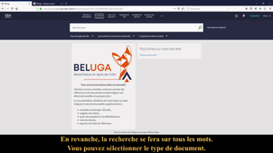 Comment chercher dans Beluga? VOST français