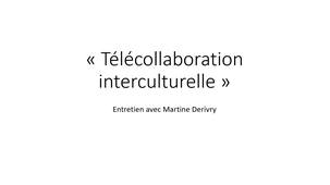 Telecollaboration_M-Derivry.mp4