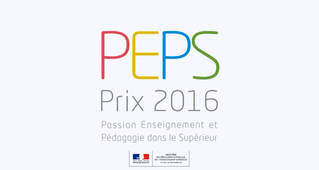 PerForm : prix PEPS 2016