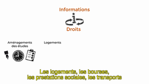 Présentation du Service Accueil Handicap