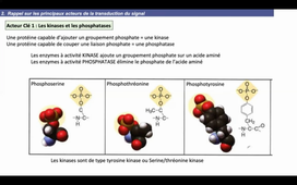 signalisation-1 25-1-2022