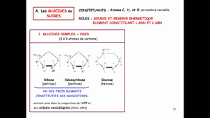 Cours3A_ChimieVivant