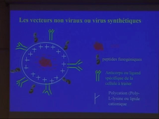 Thérapie génique: progrès effectués et à venir (M.-C. Favrot) - 2003