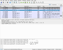 NE201 TP1 - Utilisation de wireshark