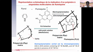 Capteur à ondes acoustiques de surface fonctionnalisé avec un polymère à empreintes moléculaires pour la détection et la quantification de la fluméquine - N. Ktari; N. Fourati; C. Zerrouki; M. Chehimi;R. Kalfat