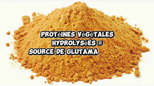 COMPO_Nouilles instantanées_2025.mp4