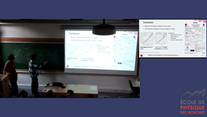 2025_04_22_17_57_N. Miscopein