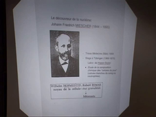 L'histoire de la biologie : dogmes et révolutions (P. Vignais) - 2001