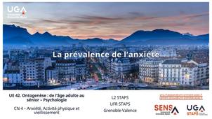 L2STAPS-CN4_4-anxiete-prevalence.mp4