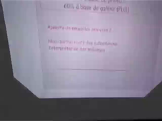 Les fards de l'Egypte ancienne à la lumière des rayons X (P. Martinetto) - 2004