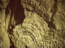 Berceau de la vie : la Terre et son histoire (P. Thomas) - 2001