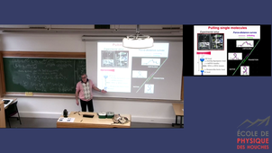 2026_02_02_14_16_Felix Ritort