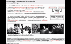 CN4-4 ControleMoteur-ProcessusMoteurs-1