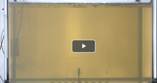 Analog experiment: injection of air inside gelatin