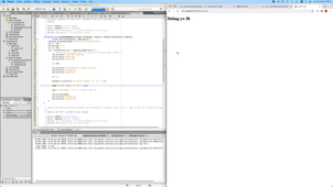 Debug sur Netbeans