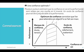 CN3-3 PSarrazin Motivation