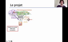 Capteur intégré sur verre pour la détection de viabilité bactérienne en milieux acqueux pollué - E. GHIBAUDO;D. BUCCI;C. DUCLAIROIR-POC;L. GIMENO;F. KOLTALO;J. MARTIN;N. ORANGE;P.XAVIER