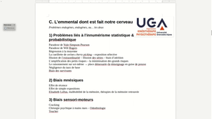 L'emmental dont est fait notre cerveau