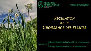 François PELLISSIER - USMB - Présentation Hybridation