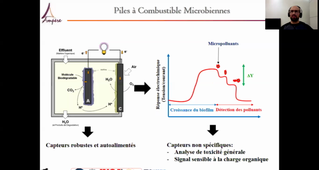Développement de capteurs électrochimiques microbiens pour une détection sélective des micropolluants